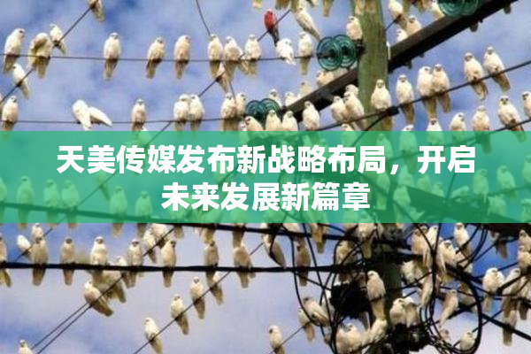 天美传媒发布新战略布局，开启未来发展新篇章