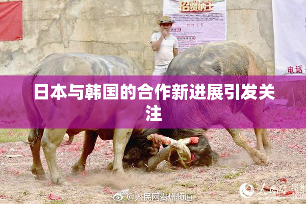 日本与韩国的合作新进展引发关注