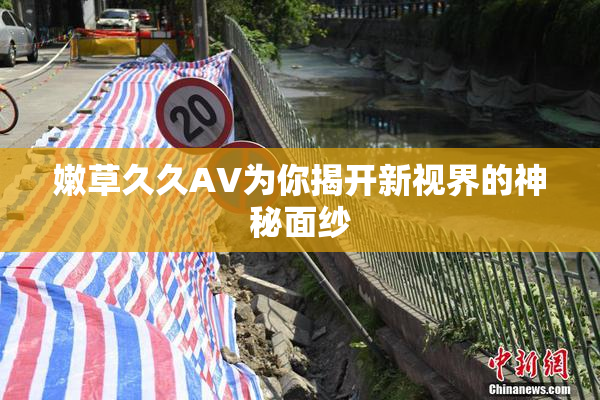 嫩草久久AV为你揭开新视界的神秘面纱