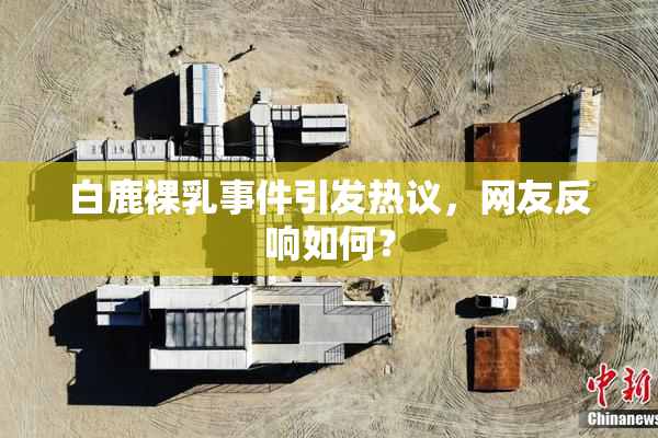 白鹿裸乳事件引发热议，网友反响如何？