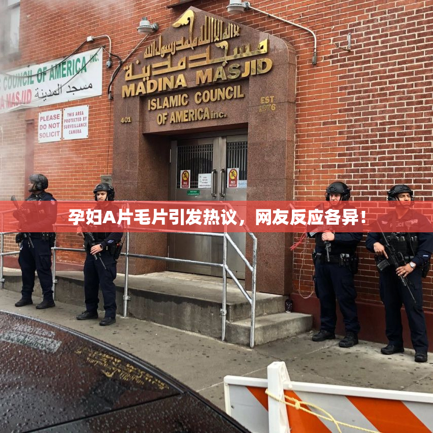 孕妇A片毛片引发热议，网友反应各异！