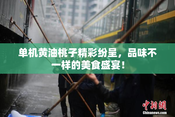 单机黄油桃子精彩纷呈，品味不一样的美食盛宴！