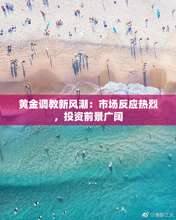 黄金调教新风潮：市场反应热烈，投资前景广阔