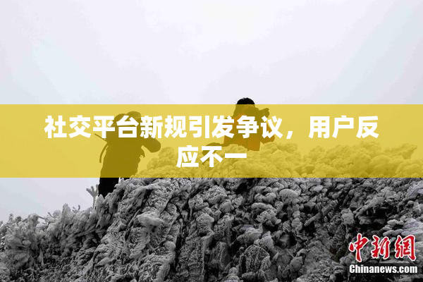 社交平台新规引发争议，用户反应不一