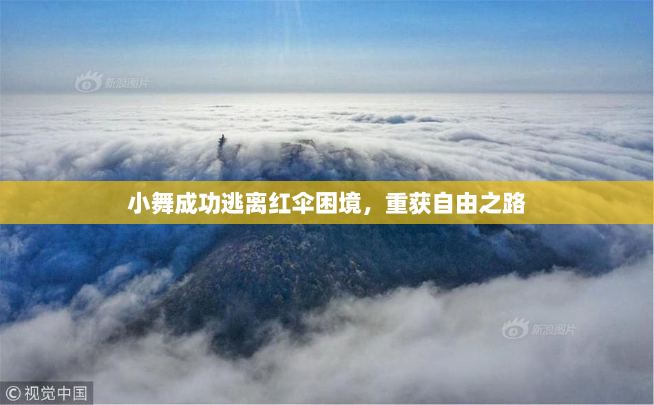 小舞成功逃离红伞困境，重获自由之路