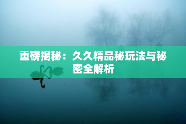 重磅揭秘：久久精品秘玩法与秘密全解析