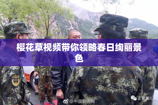 樱花草视频带你领略春日绚丽景色