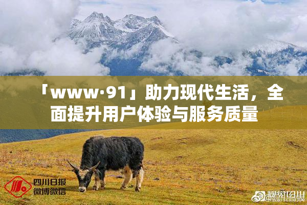 「www·91」助力现代生活，全面提升用户体验与服务质量