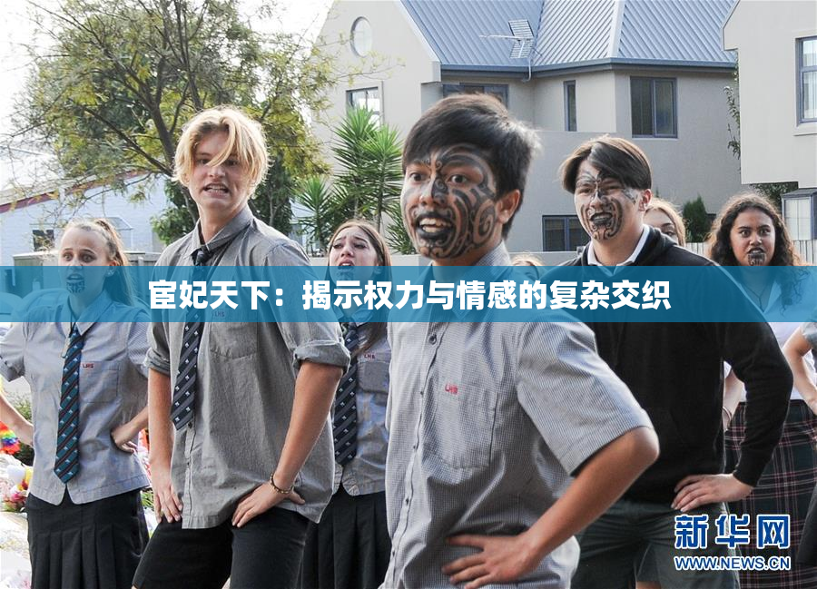 宦妃天下：揭示权力与情感的复杂交织