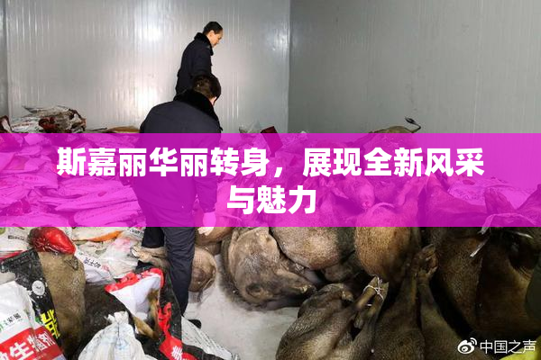 斯嘉丽华丽转身，展现全新风采与魅力