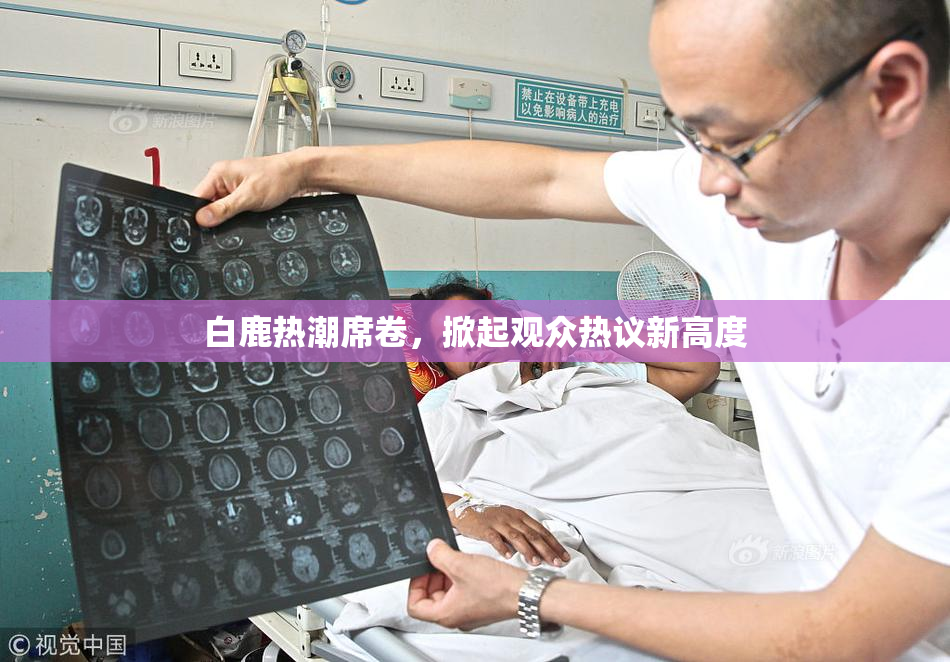 白鹿热潮席卷，掀起观众热议新高度
