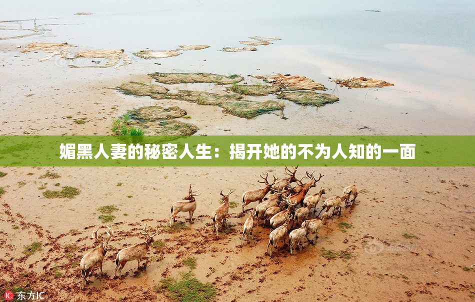 媚黑人妻的秘密人生：揭开她的不为人知的一面