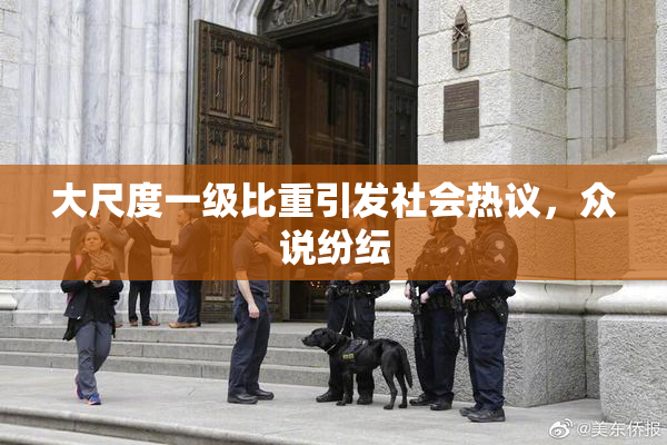 大尺度一级比重引发社会热议，众说纷纭