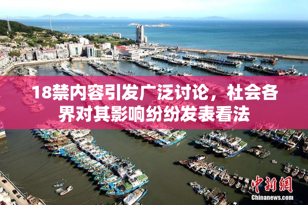 18禁内容引发广泛讨论，社会各界对其影响纷纷发表看法