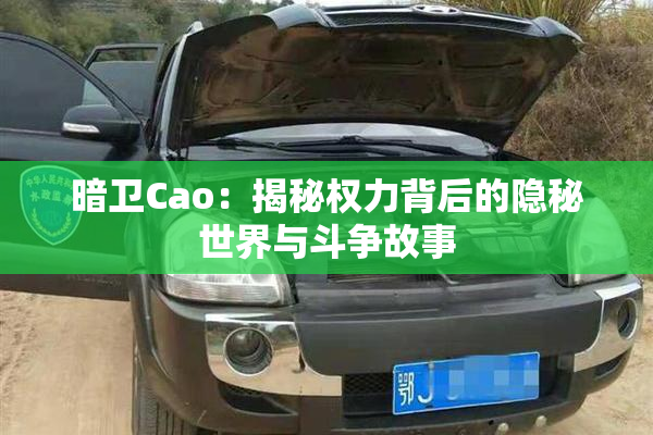 暗卫Cao：揭秘权力背后的隐秘世界与斗争故事
