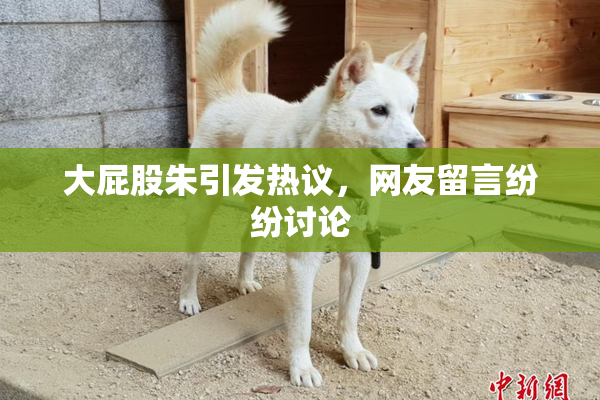 大屁股朱引发热议，网友留言纷纷讨论