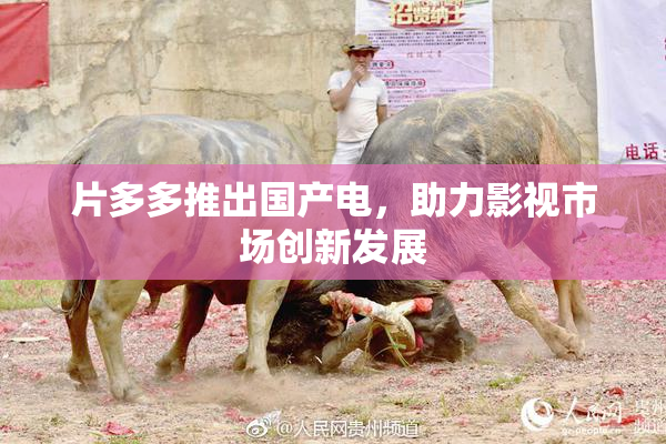 片多多推出国产电，助力影视市场创新发展