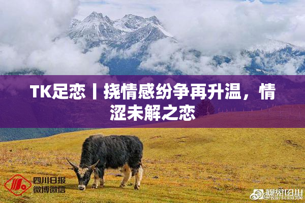 TK足恋丨挠情感纷争再升温，情涩未解之恋