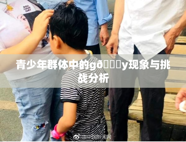 青少年群体中的g🈚y现象与挑战分析