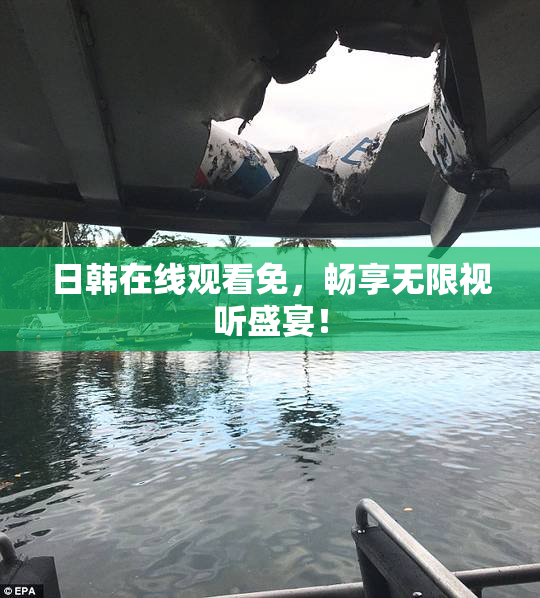 日韩在线观看免，畅享无限视听盛宴！