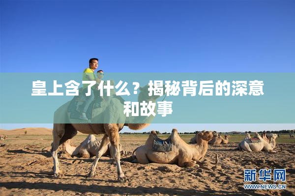 皇上含了什么？揭秘背后的深意和故事