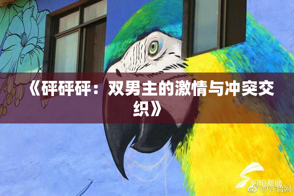 《砰砰砰：双男主的激情与冲突交织》
