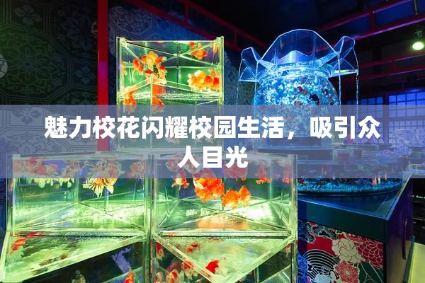 魅力校花闪耀校园生活，吸引众人目光