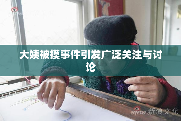 大姨被摸事件引发广泛关注与讨论
