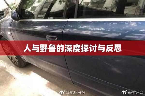 人与野鲁的深度探讨与反思