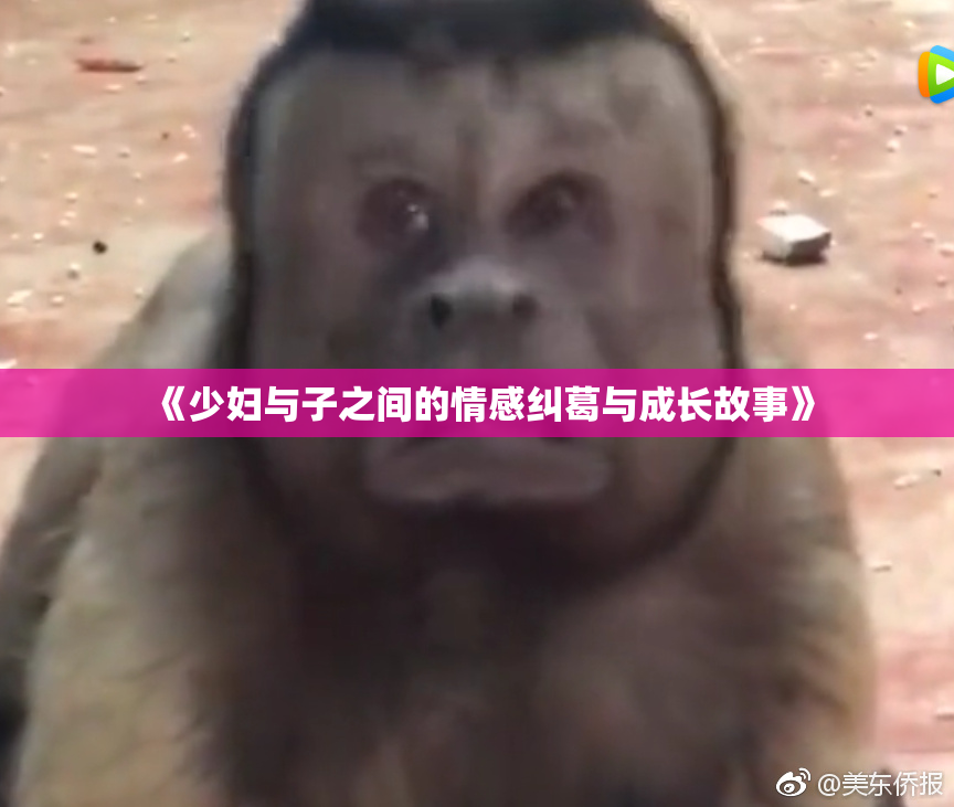 《少妇与子之间的情感纠葛与成长故事》