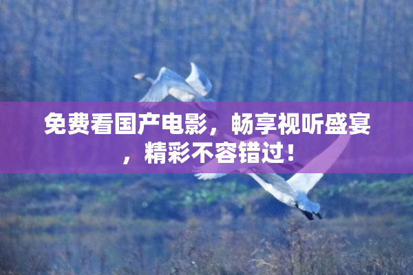 免费看国产电影，畅享视听盛宴，精彩不容错过！