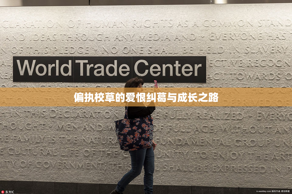 偏执校草的爱恨纠葛与成长之路