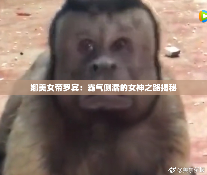 娜美女帝罗宾：霸气侧漏的女神之路揭秘