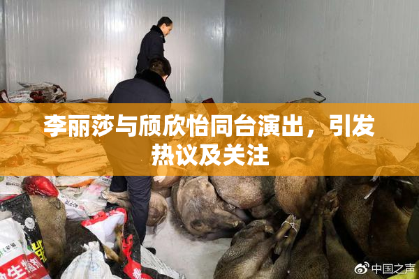 李丽莎与颀欣怡同台演出，引发热议及关注