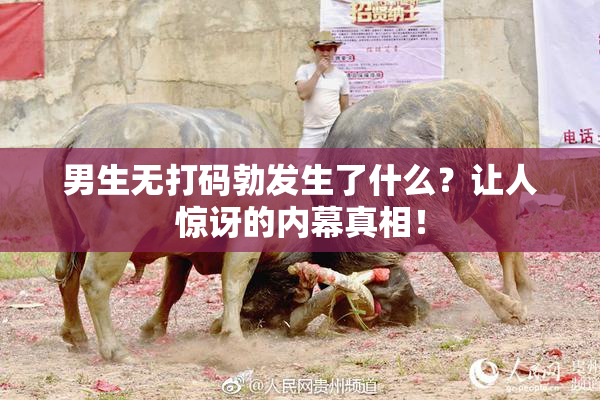 男生无打码勃发生了什么？让人惊讶的内幕真相！