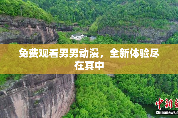 免费观看男男动漫，全新体验尽在其中