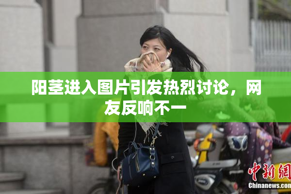 阳茎进入图片引发热烈讨论，网友反响不一