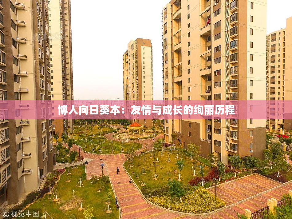 博人向日葵本：友情与成长的绚丽历程