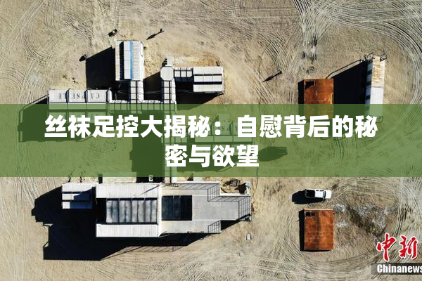 丝袜足控大揭秘：自慰背后的秘密与欲望
