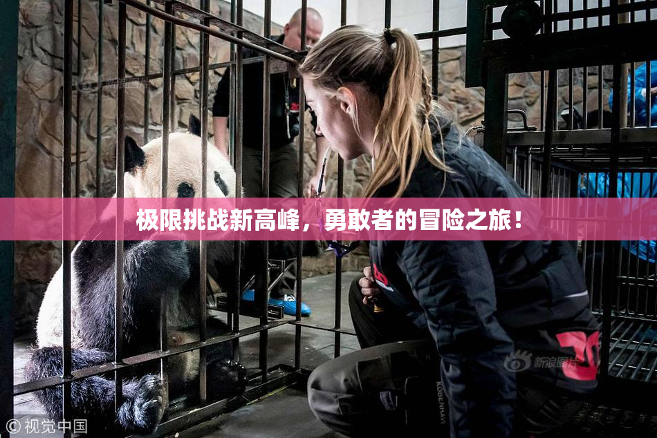 极限挑战新高峰，勇敢者的冒险之旅！