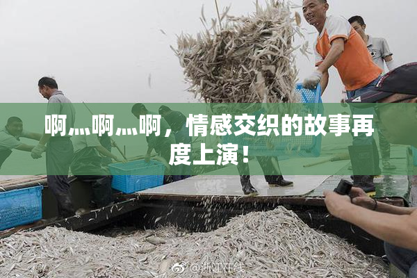 啊灬啊灬啊，情感交织的故事再度上演！