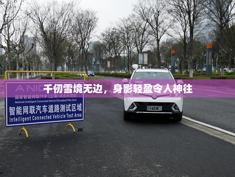 千仞雪境无边，身影轻盈令人神往