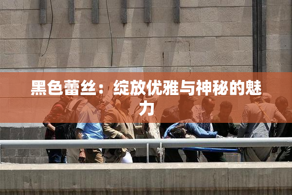黑色蕾丝：绽放优雅与神秘的魅力
