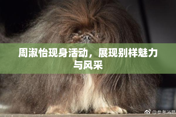 周淑怡现身活动，展现别样魅力与风采