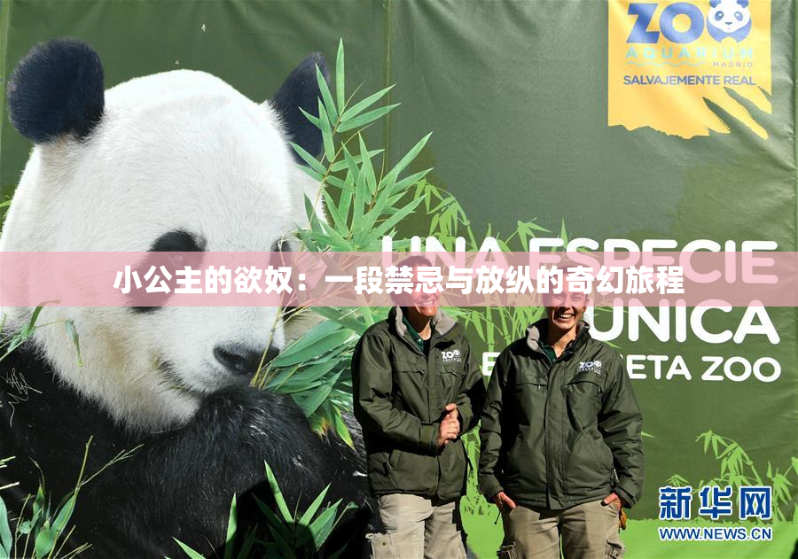 小公主的欲奴：一段禁忌与放纵的奇幻旅程