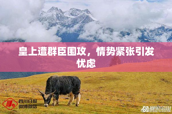 皇上遭群臣围攻，情势紧张引发忧虑