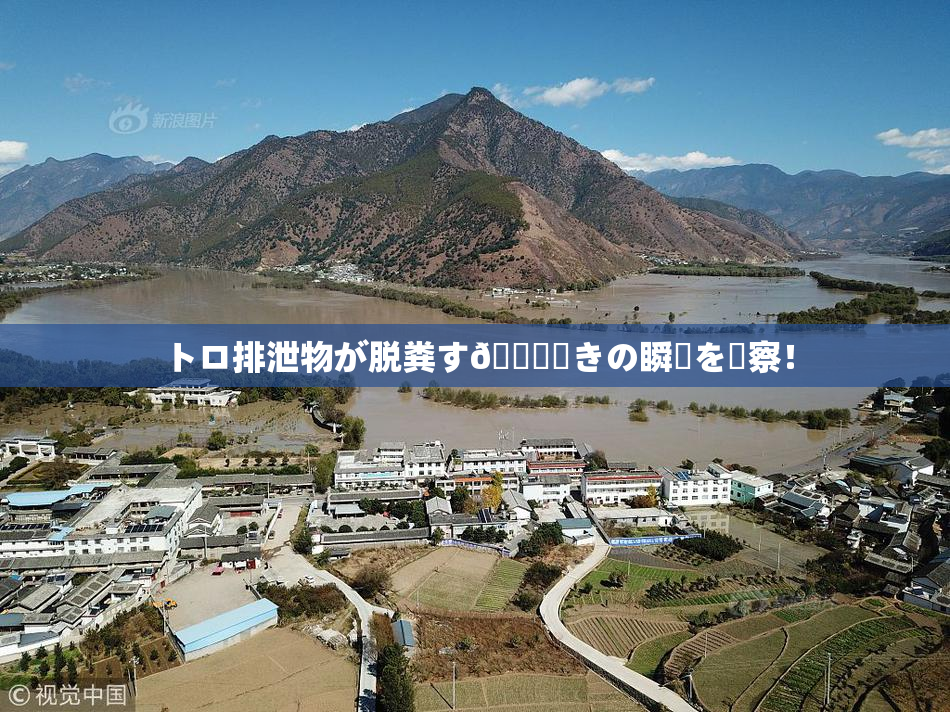 トロ排泄物が脱粪す🌃驚きの瞬間を観察！