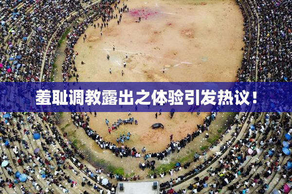 羞耻调教露出之体验引发热议！