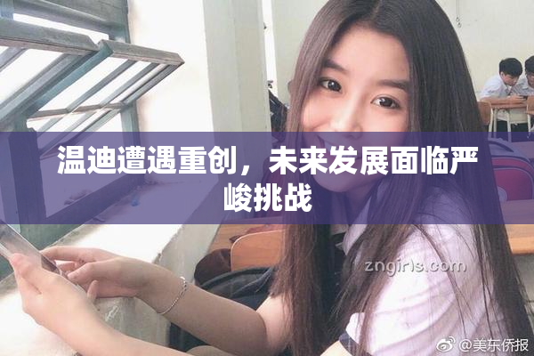 温迪遭遇重创，未来发展面临严峻挑战