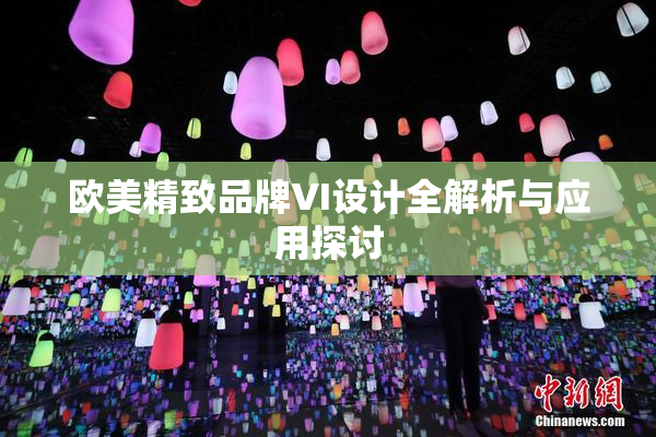 欧美精致品牌VI设计全解析与应用探讨